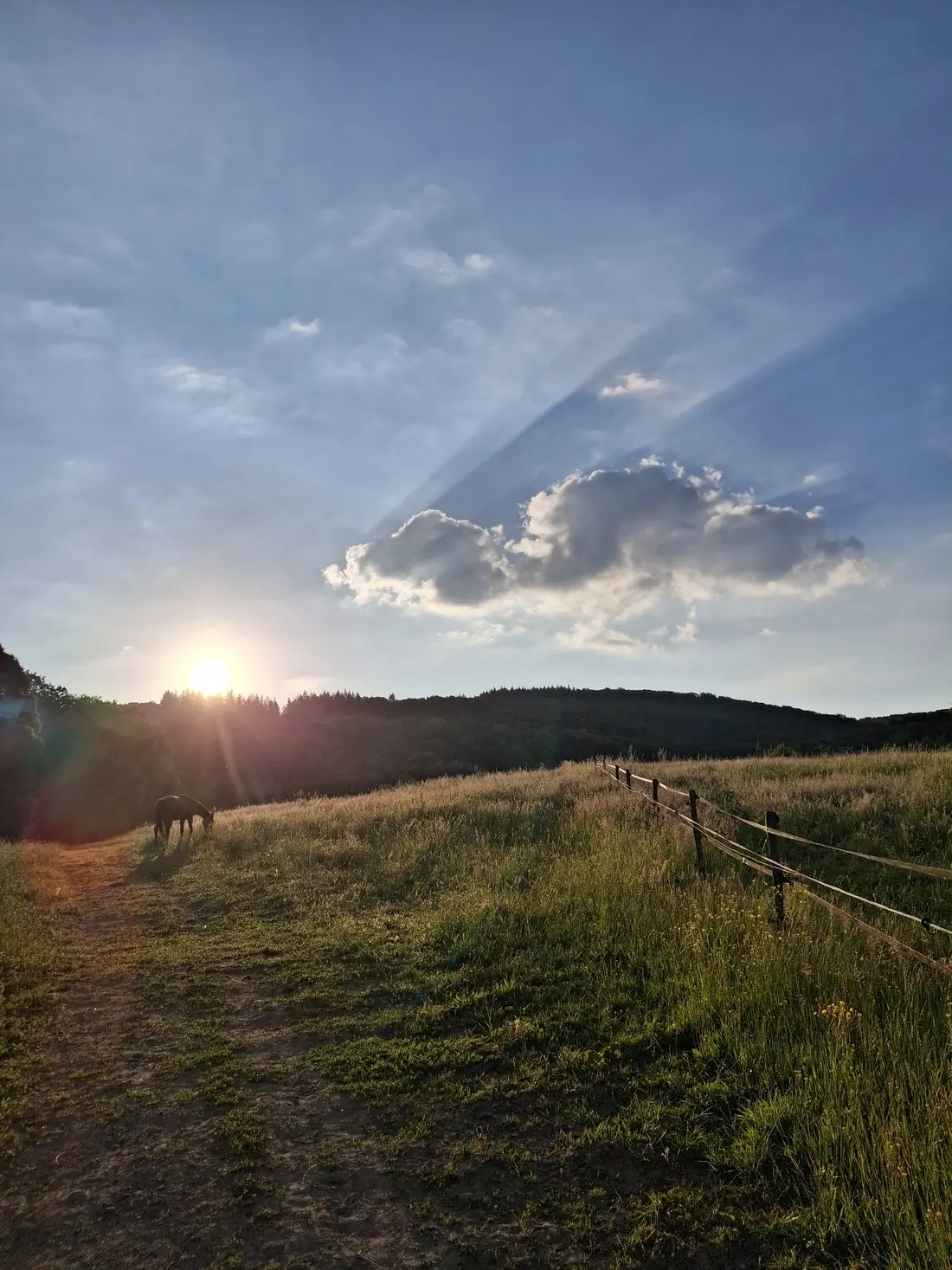 Feldweg am Hof im Abendlicht, ein Pferd auf der Koppel, dahinter die bewaldeten Hügel